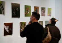 Las IX Jornadas de Fotografía de Naturaleza del Campo de Gibraltar, todo un éxito en Los Barrios