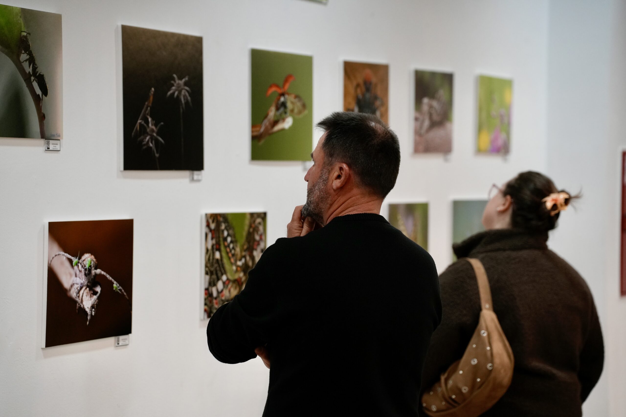 2026. Raices. IX Jornadas. Apertura (AG) (58)